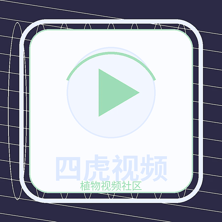 四虎视频